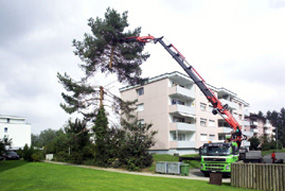 4 Achser Volvo – 80 mto Ladekran